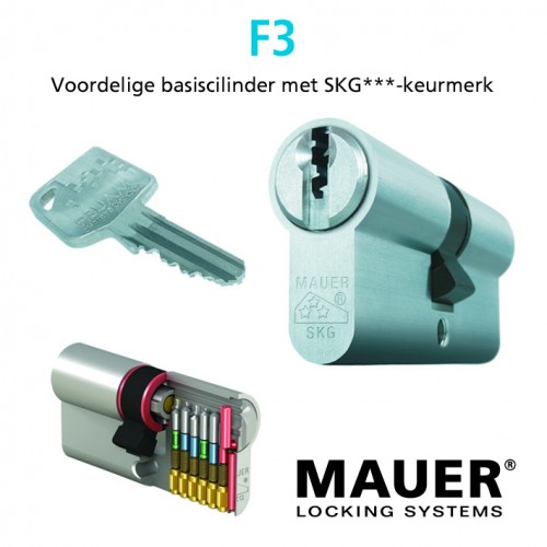 Mauer F3