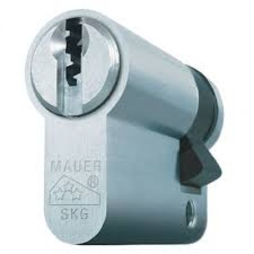 Mauer F3